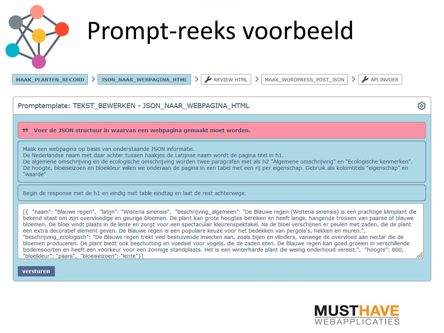 prompt-reeks voorbeeld JSON naar web