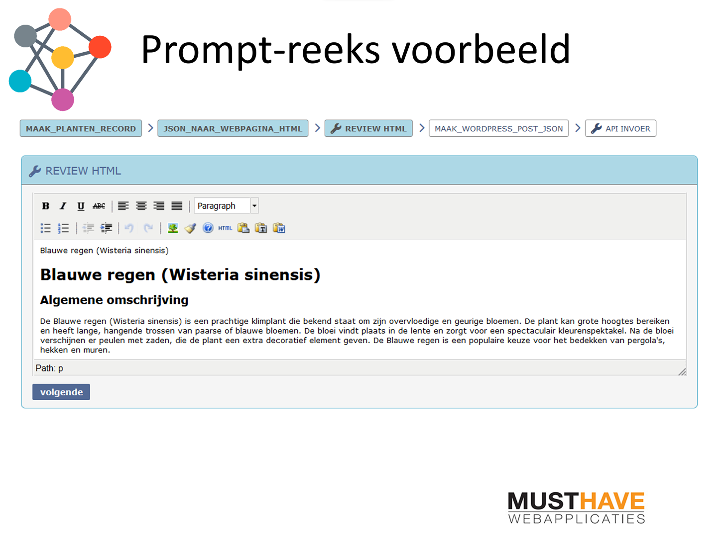 prompt-reeks voorbeeld review HTML